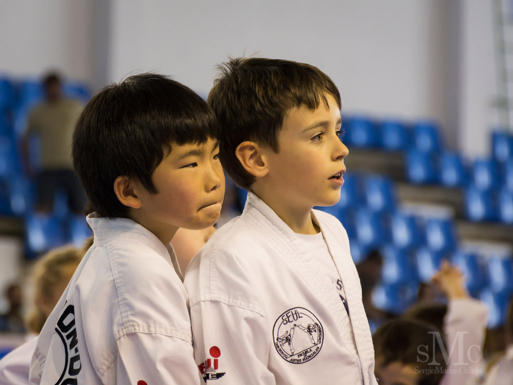 DIA DEL TAEKWONDO ABRIL 2017_3988.JPG